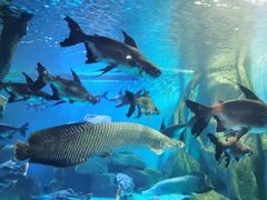 -多彩贵州城极地海洋世界