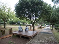景点-汉拿树木园