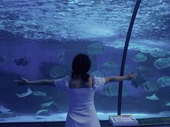 -泉城欧乐堡海洋极地世界