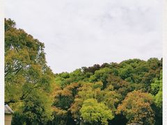 -同里国家湿地公园