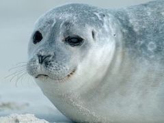 -华夏文旅西安度假区