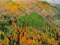 -山王坪喀斯特国家生态公园