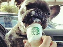 -星巴克(绵阳涪城凯德店)