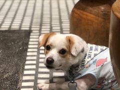 -Luneurs(幸福里店)