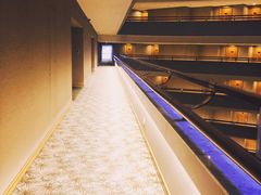 -新加坡文华东方酒店