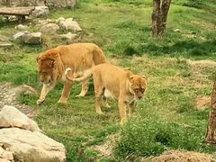 -西安秦岭野生动物园