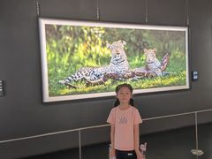 -罗红摄影艺术馆