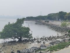 -深圳湾公园(南山区)