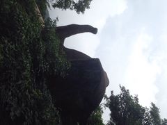 iphone_upload_pic-天柱山风景区