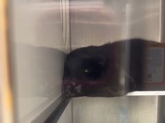 -安安宠医宠物医院·异宠·犬猫内科(岳阳分院)