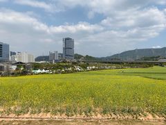 -光明小镇欢乐田园
