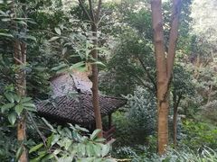 -杭州少年儿童公园