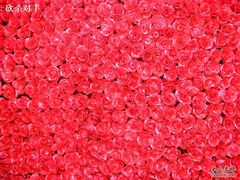-珠江夜游西堤码头