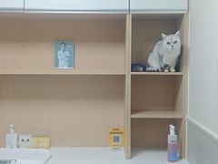 -谐和益家动物医院·免疫绝育·血液透析·宠保定点医院(高新伊藤分院)