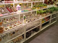 -KKV(重庆东原悦荟主力店)