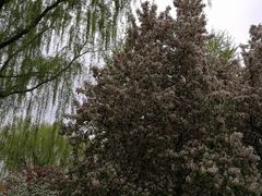 -元大都城垣遗址公园