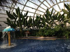 -盛泰恐龙谷温泉