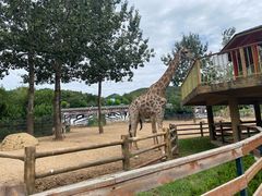 -大连森林动物园