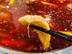 -刘胖娃鱼庄·特色鱼火锅(白鹤路店)