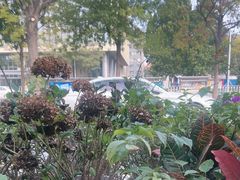 -食悦江南·淮扬菜·烤鸭(亚运村·惠新店)