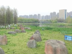 -滨湖塘西河公园