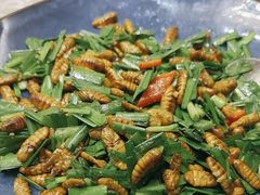 -轩记海鲜餐厅·四十五年老字号·经典粤菜(西区彩虹店)