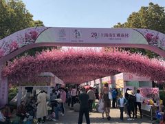-南汇桃花村