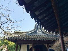 -上海醉白池公园