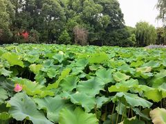 -丝绸小镇荻港古村