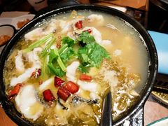 砂锅酸菜乌鱼片-陶德砂锅(蜀汉路店)