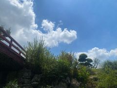 -羊山湖公园