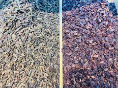 -新疆国际大巴扎