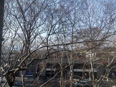 -中国美术学院-美术馆