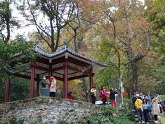 景点-广州市石门国家森林公园