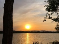 -绿堤公园