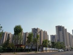 -星光岛