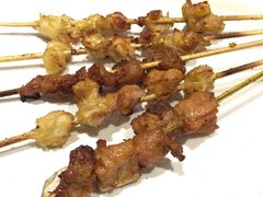 -金刚山烧烤(红旗大街店)