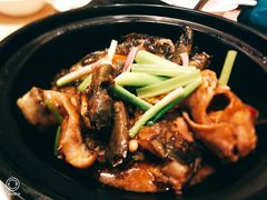 -金苑海鲜酒家(来魅力店)