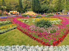 -深圳仙湖植物园