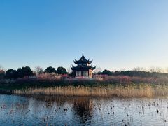 -上海海湾国家森林公园