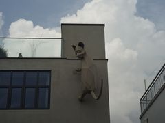 -三圣花乡旅游区