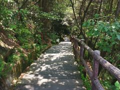 -铁山坪森林公园