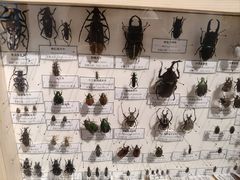 -中国湿地博物馆
