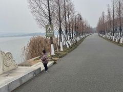 -东湖落雁景区