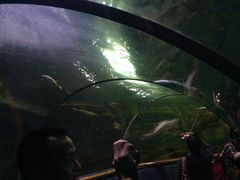 -厦门海底世界
