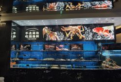 -宴宾楼·宴会厅(南开店)