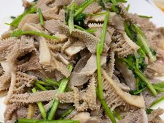 芫爆散丹-燕春楼(海河华鼎店)