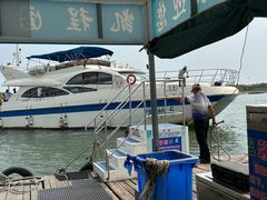 -日照世帆赛基地