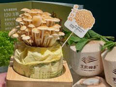 -烹然四季椰子鸡火锅(姚家园万象汇店)