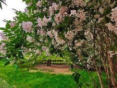 -北京动物园-畅观楼